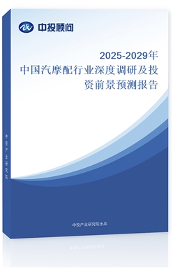 2025-2029ЇĦИI(y){(dio)мͶYǰA(y)y